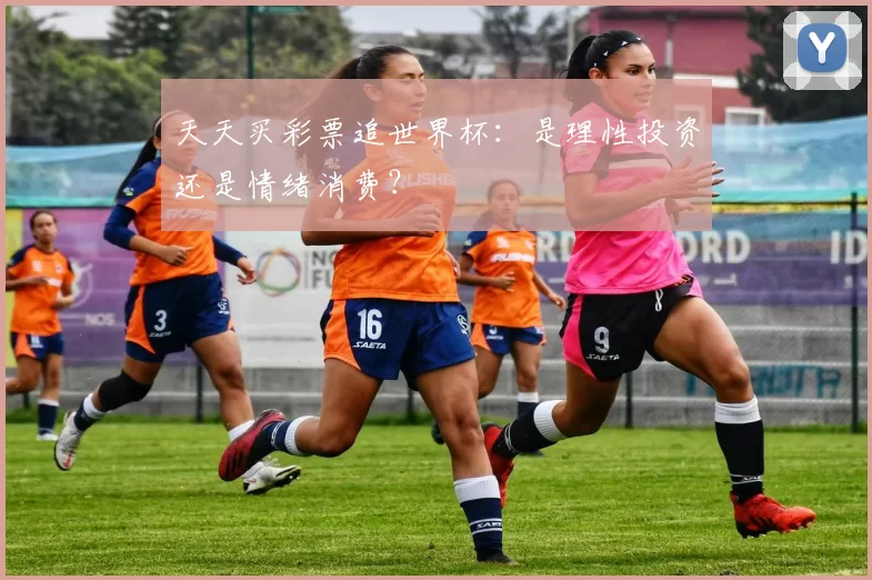 天天买彩票追世界杯:是理性投资还是情绪消费?