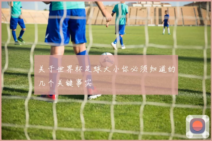 关于世界杯足球大小你必须知道的几个关键事实