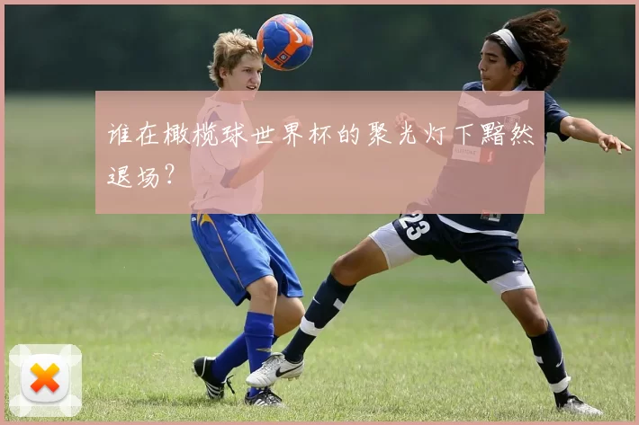 谁在橄榄球世界杯的聚光灯下黯然退场？