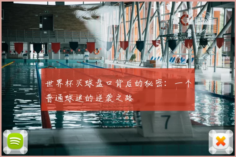世界杯买球盘口背后的秘密：一个普通球迷的逆袭之路