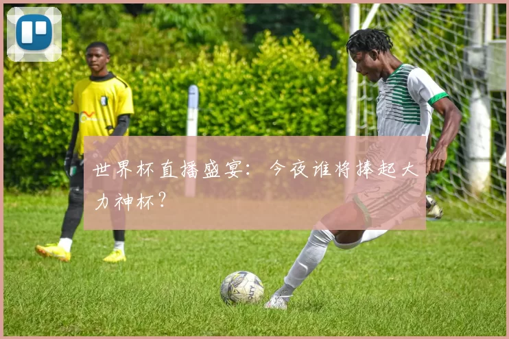 世界杯直播盛宴:今夜谁将捧起大力神杯?