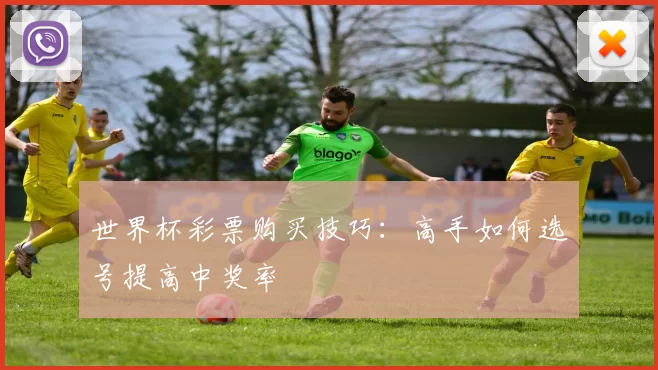 世界杯彩票购买技巧:高手如何选号提高中奖率