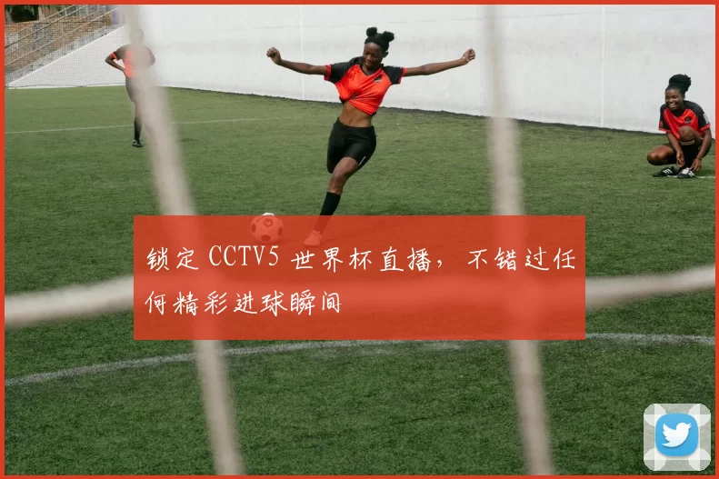 锁定 CCTV5 世界杯直播,不错过任何精彩进球瞬间