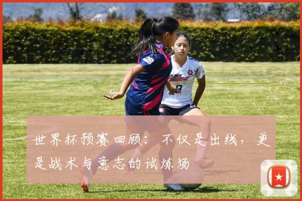 世界杯预赛回顾:不仅是出线,更是战术与意志的试炼场