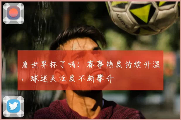 看世界杯了吗:赛事热度持续升温,球迷关注度不断攀升