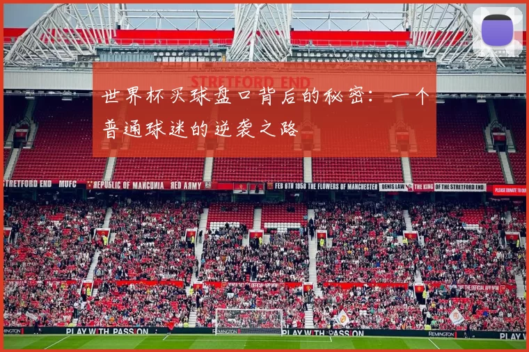 世界杯买球盘口背后的秘密:一个普通球迷的逆袭之路