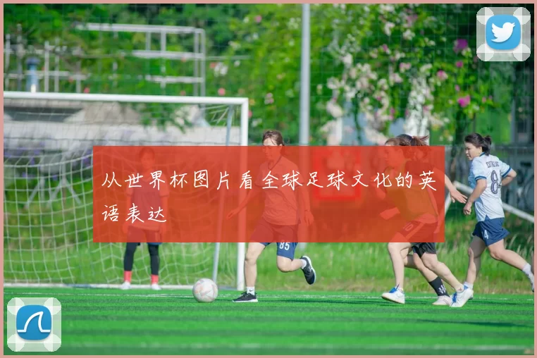从世界杯图片看全球足球文化的英语表达