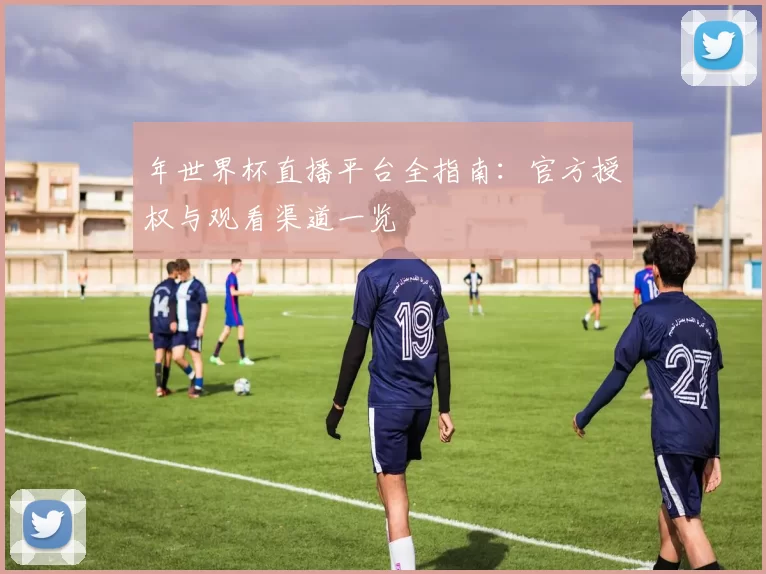 年世界杯直播平台全指南:官方授权与观看渠道一览